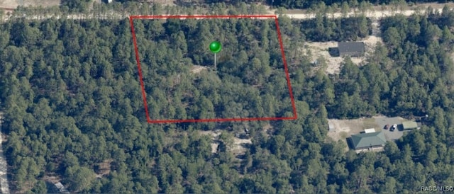 6338 W Tirana Ln, Dunnellon, FL 34433 - photo 33