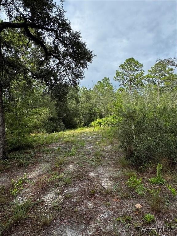 6338 W Tirana Ln, Dunnellon, FL 34433 - photo 18