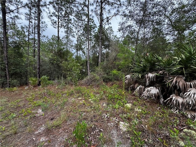 6338 W Tirana Ln, Dunnellon, FL 34433 - photo 24