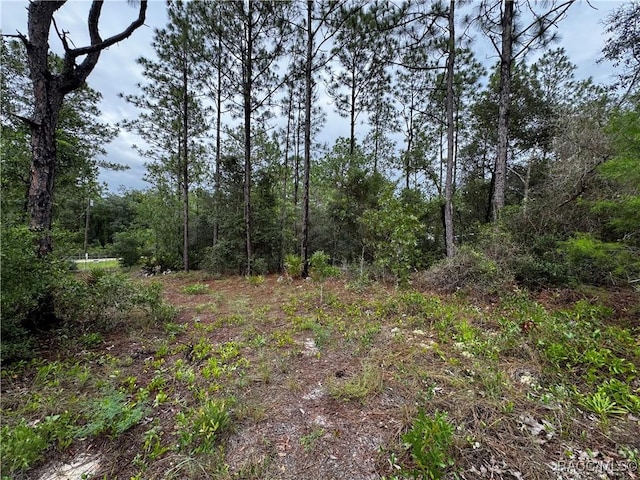 6338 W Tirana Ln, Dunnellon, FL 34433 - photo 30
