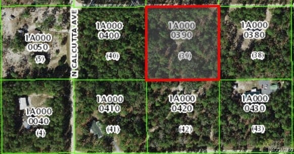 6338 W Tirana Ln, Dunnellon, FL 34433 - photo 36