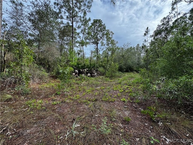 6338 W Tirana Ln, Dunnellon, FL 34433 - photo 13