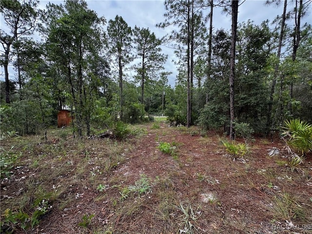 6338 W Tirana Ln, Dunnellon, FL 34433 - photo 23