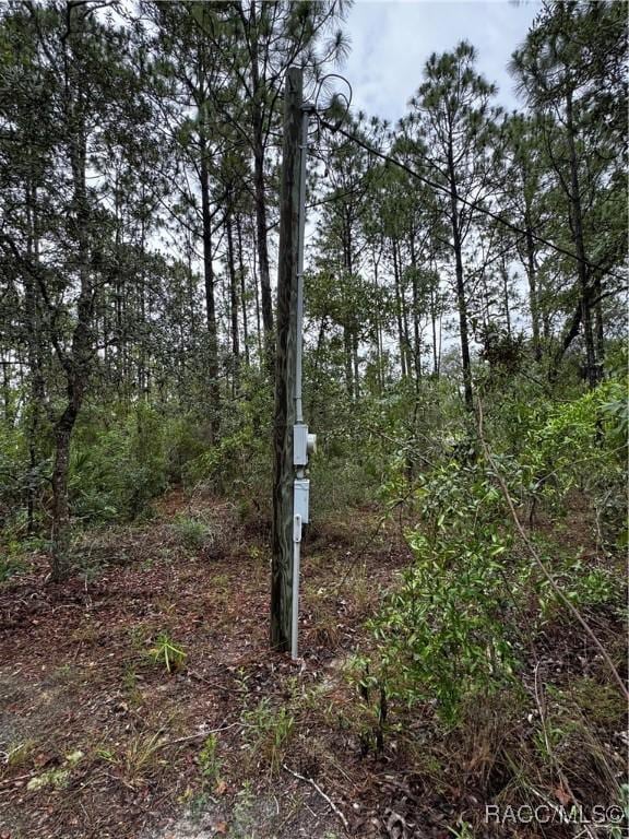 6338 W Tirana Ln, Dunnellon, FL 34433 - photo 3