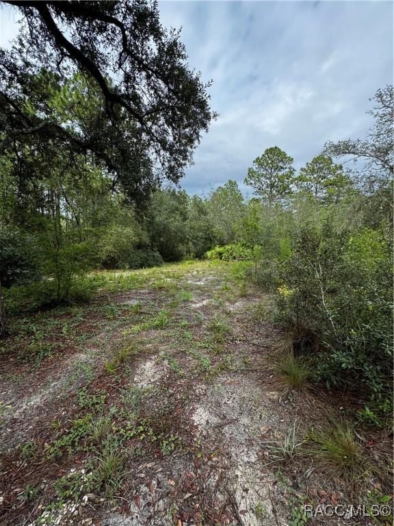 6338 W Tirana Ln, Dunnellon, FL 34433 - photo 28