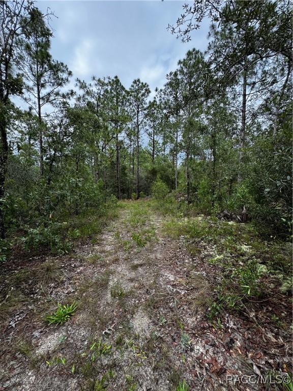6338 W Tirana Ln, Dunnellon, FL 34433 - photo 25