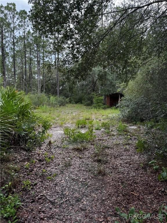 6338 W Tirana Ln, Dunnellon, FL 34433 - photo 21