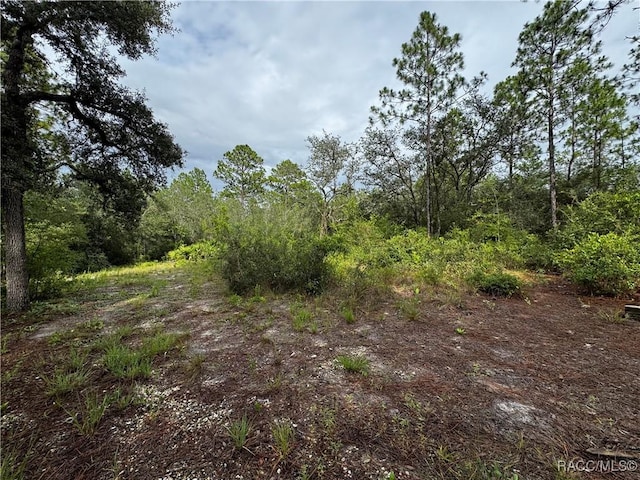 6338 W Tirana Ln, Dunnellon, FL 34433 - photo 10