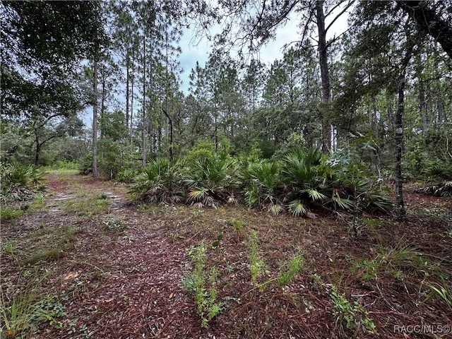 6338 W Tirana Ln, Dunnellon, FL 34433 - photo 8