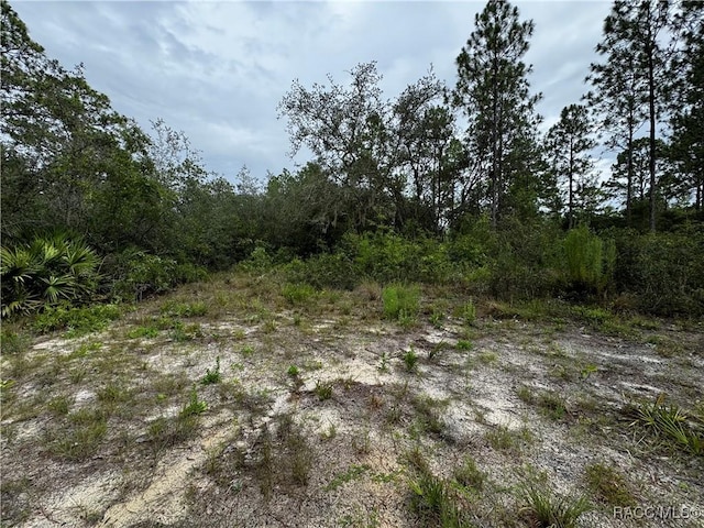 6338 W Tirana Ln, Dunnellon, FL 34433 - photo 29