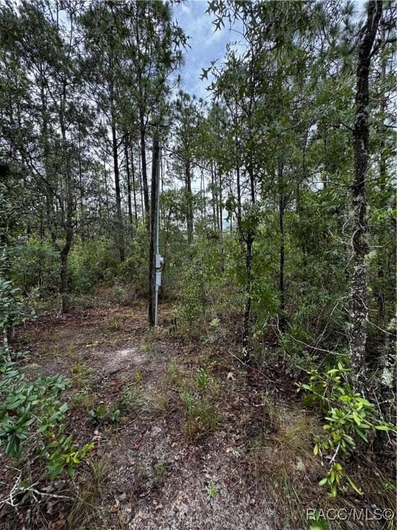 6338 W Tirana Ln, Dunnellon, FL 34433 - photo 12