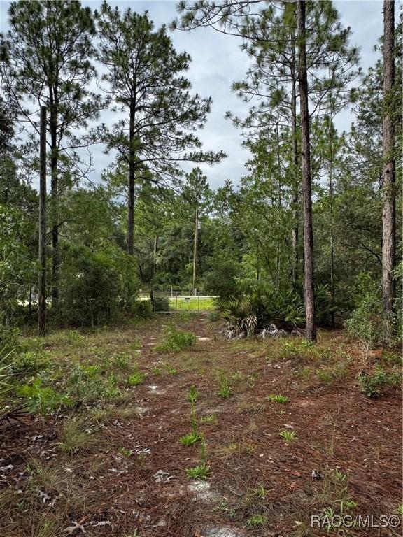 6338 W Tirana Ln, Dunnellon, FL 34433 - photo 15