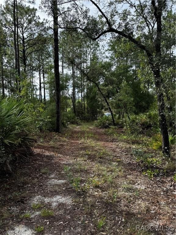 6338 W Tirana Ln, Dunnellon, FL 34433 - photo 11