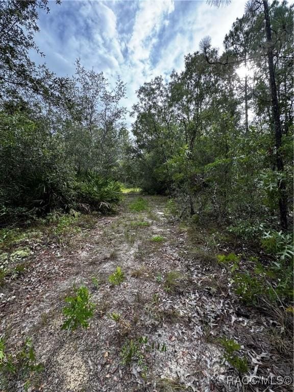 6338 W Tirana Ln, Dunnellon, FL 34433 - photo 16