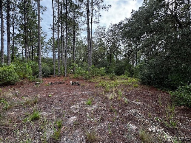 6338 W Tirana Ln, Dunnellon, FL 34433 - photo 26
