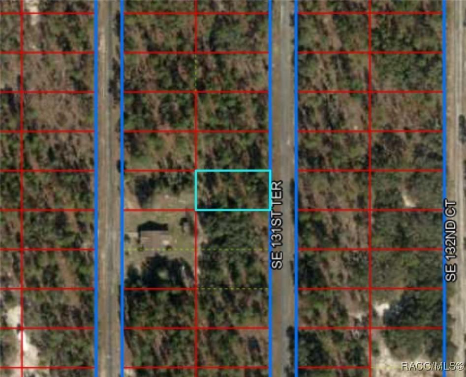 LOT9 SE 131st Ter, Dunnellon, FL 34431 - photo 1