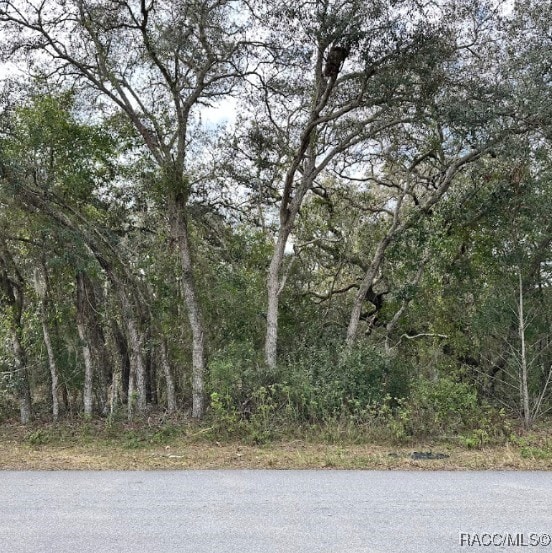 56 N Fresno Ave, Hernando, FL 34442 - photo 1