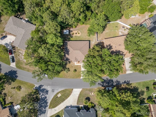 87 Sycamore Cir, Homosassa, FL 34446 - photo 39