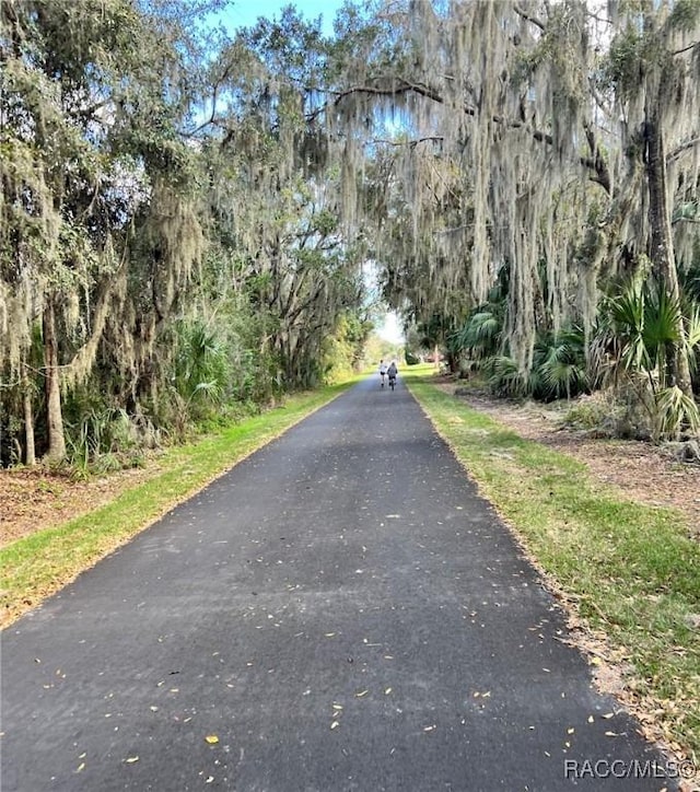 732 Wharton Ter, Inverness, FL 34450 - view of asphalt road