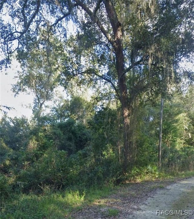 LOT60 Barth Dr, Dade City FL, 33523 land for sale