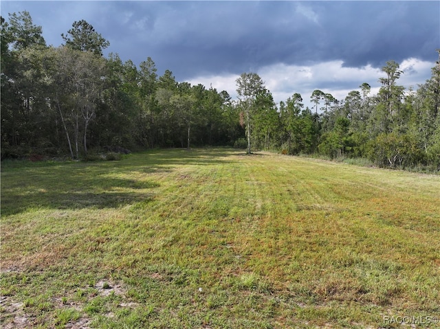5446 Sw Overstreet Avenue, Greenville, FL 32331 - photo 31