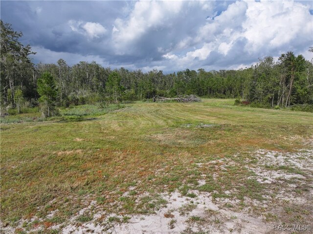 5446 Sw Overstreet Avenue, Greenville, FL 32331 - photo 32