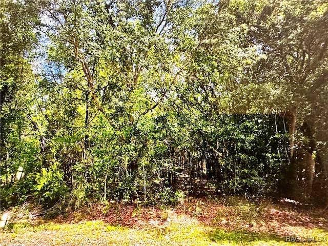 2678 E Celina St, Inverness FL, 34453 land for sale