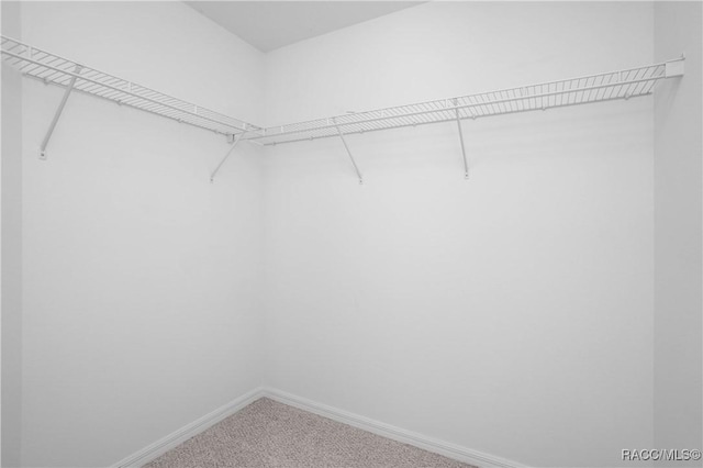 604 Morse St, Inverness, FL 34452 - walk in closet with carpet