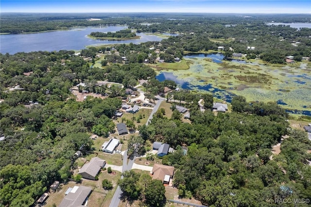 206 S Ferndale Ter, Inverness, FL 34450 - photo 49