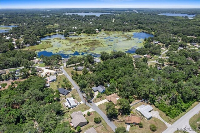 206 S Ferndale Ter, Inverness, FL 34450 - photo 48