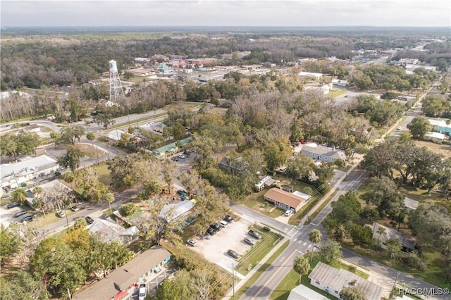 bird's eye view