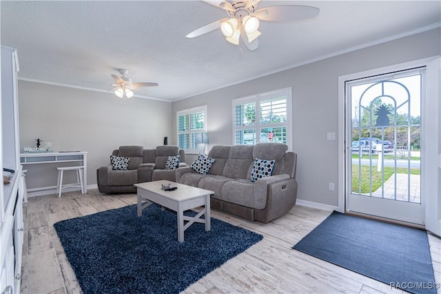 living room with ceiling fan, ornamental molding, a textured ceiling, and light wood-type flooring