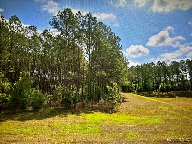 Listing photo 2 for 143 S Kensington Ave, Lecanto FL 34461