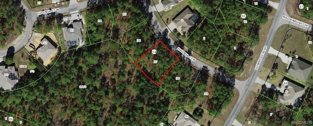 6 Eugenia Ct N, Homosassa, FL 34446