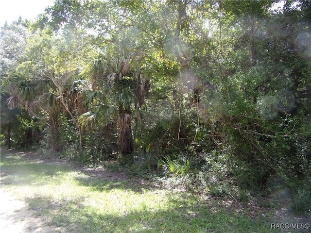 0 Azalee Ave, Inglis FL, 34449 land for sale