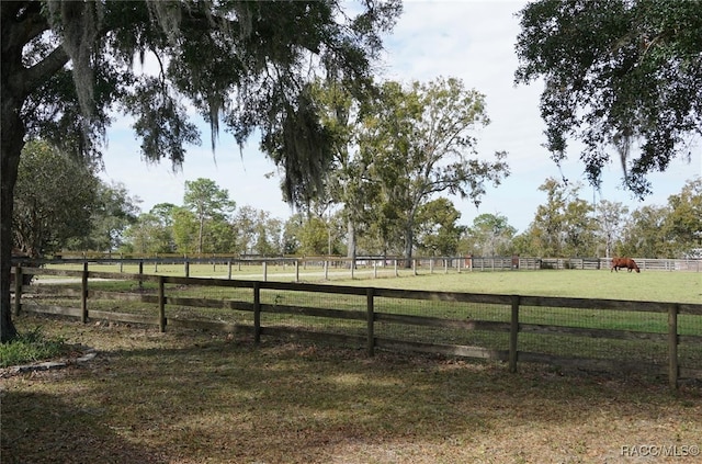 view of yard with a rural view