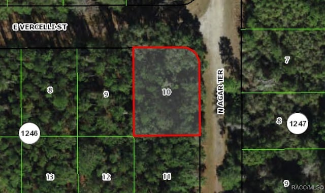 1124 E Vercelli Ave, Citrus Springs FL, 34434 land for sale