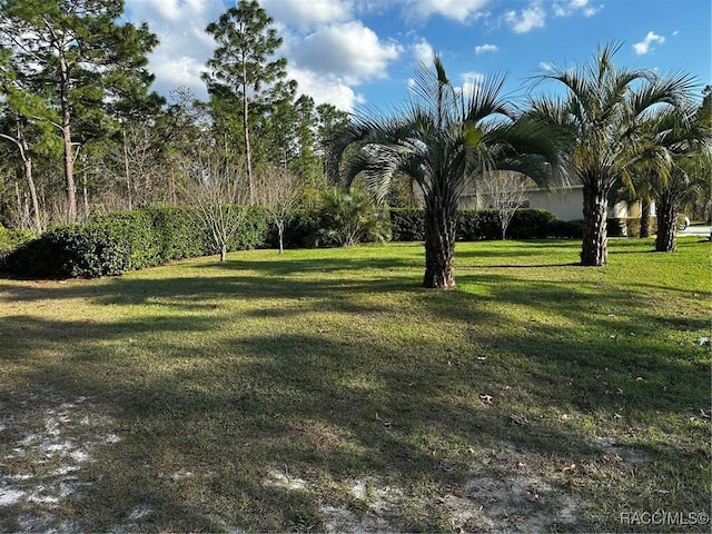 196 Daisy St, Homosassa FL, 34446 land for sale