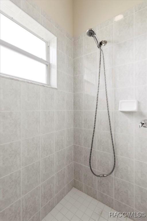 251 W Rexford Dr, Beverly Hills, FL 34465 - bathroom with tiled shower