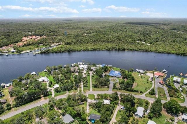 10684 W Halls River Rd Unit 2, Homosassa, FL 34448 - view of property location featuring a large body of water