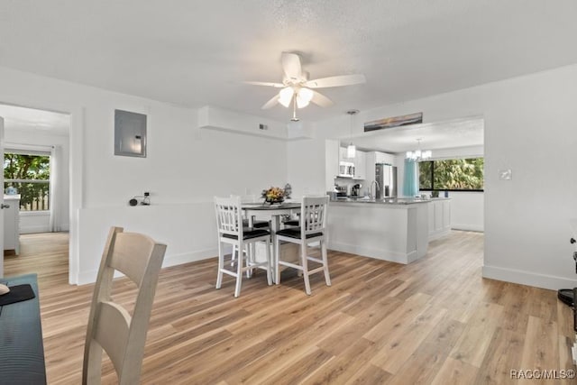 10684 W Halls River Rd Unit 2, Homosassa, FL 34448 - dining space featuring a chandelier, a ceiling fan, light wood-style floors, and electric panel