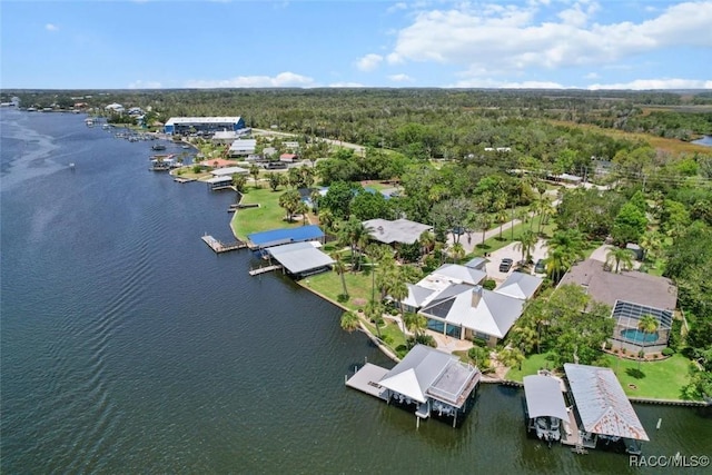 10684 W Halls River Rd Unit 2, Homosassa, FL 34448 - view of property location featuring a nearby body of water and a forest
