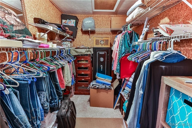 view of spacious closet