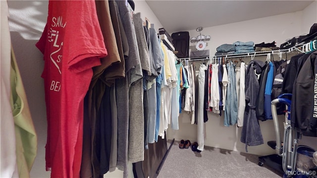 spacious closet with carpet