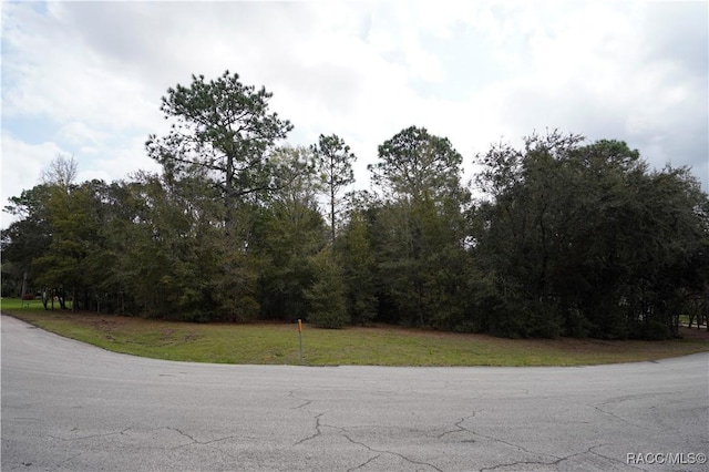 1159 N Nashua Ter, Inverness FL, 34453 land for sale