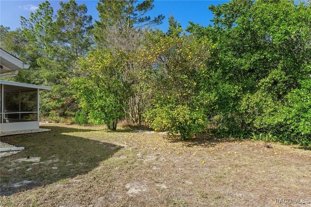 16 Gerbera Ct, Homosassa, FL 34446 - photo 23
