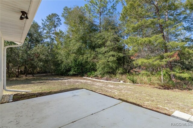 16 Gerbera Ct, Homosassa, FL 34446 - photo 31