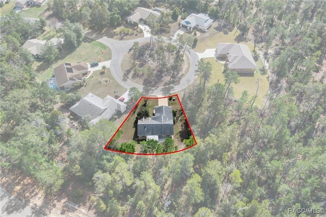 16 Gerbera Ct, Homosassa, FL 34446 - photo 28