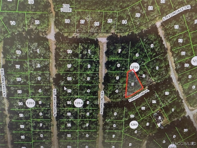 431 E Marlow Pl, Dunnellon FL, 34434 land for sale