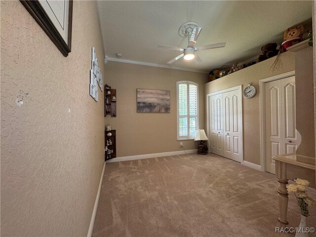 14 Plumbago Ct, Homosassa, FL 34446 - photo 30